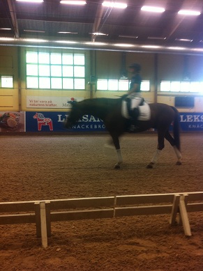 Adelinde Cornelissen